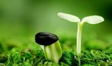 生活让我懂得珍惜