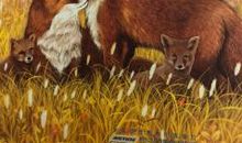 春田狐的爱读后感