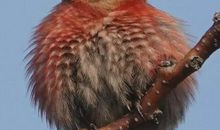 不能辜负的信任