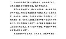 秋天的夜晚作文500字