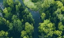 我最欣赏那一抹绿