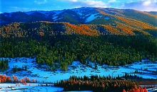 家乡美景温暖我心