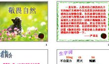 小学生敬畏自然倡议书