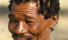 “人类”非“类人”