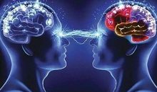 “人脑”pk“人工智能”