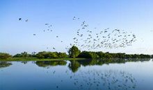 慢下来才能看到风景