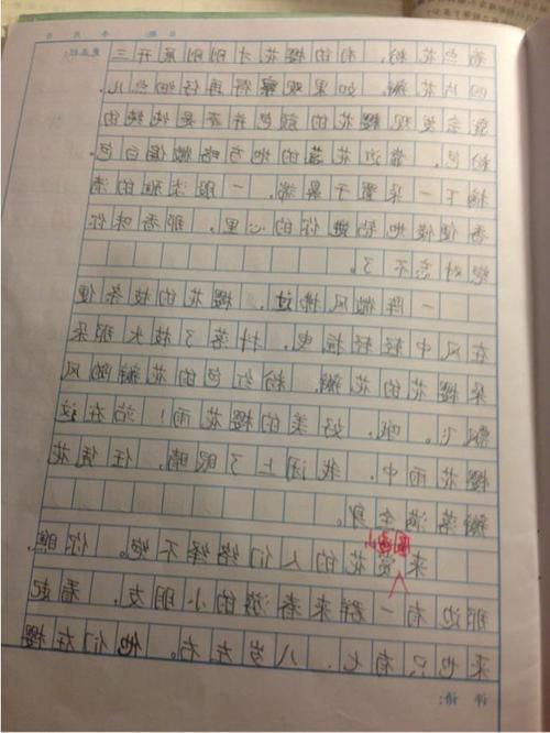 心中的太阳作文500字