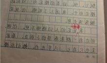 心中的太阳作文500字