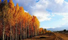 和你走过的春夏秋冬