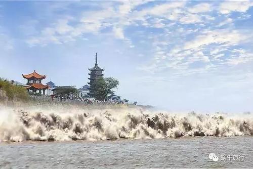 桐城风暴