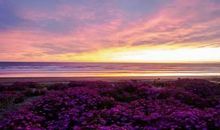 生命的一抹阳光