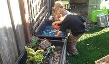 大自然的声音也是一种养料