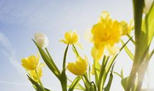 我咋这么幸运呢