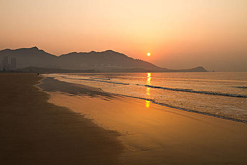 青岛石头老年海帆