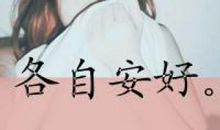 我想当一回明星