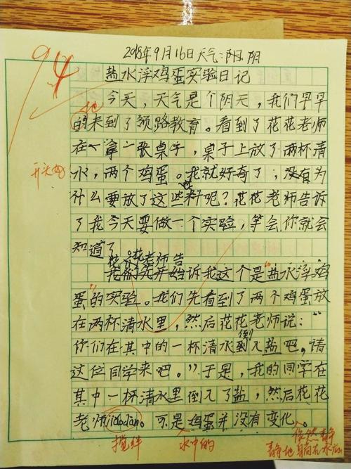 三年级盐水漂浮蛋组成