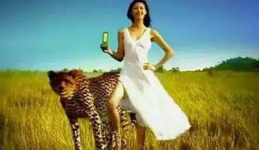 我在追时尚