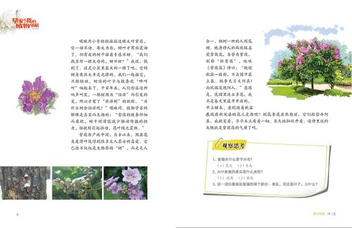 早上好，我的植物邻居阅读后