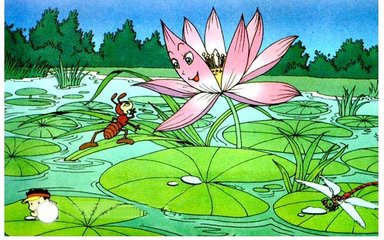 我想在夏天的夜晚有一只手。