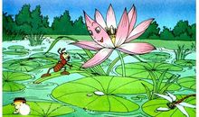 我想夏夜有一双手