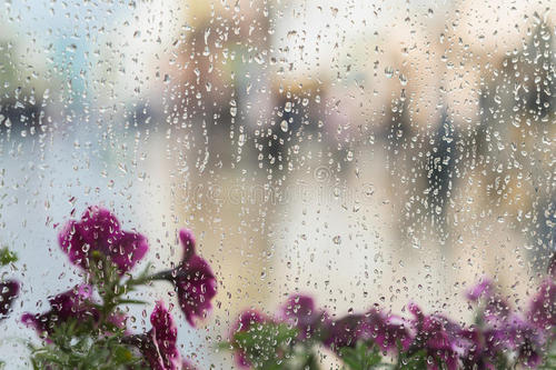 小雨