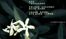 开在记深处的花朵