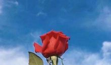 其实我不想离开