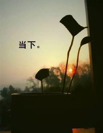 我不是我的。