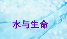 生命与水