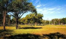 让森林拥抱城市