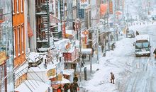 纽约的雪