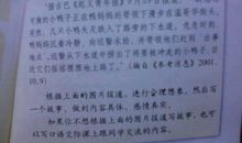 我喜欢的植物作文