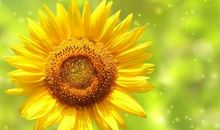 走过我生命的那个你