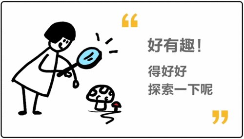 注意注意事项