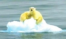 人类=理智与情感并存