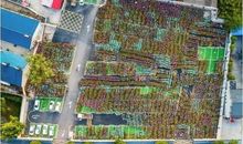 少了他们的共享时代