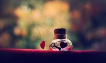 触摸心灵深处的爱