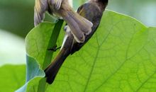 淡淡的笑浓浓的情