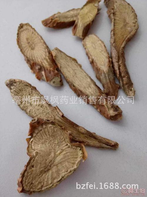 学期后，我最想在学校的墙上看到枫树藤