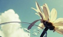 以我之眼，观大千世界