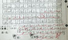 小猴帮小刺猬捡帽子的看图写话