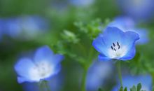 珍惜初中最后的校园时光