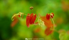 值得尊重的生命