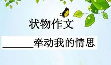 水牵动了我的情思