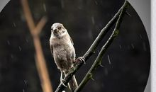 风雨中，这点痛算什么