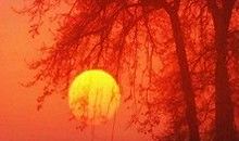 时光如白驹过隙