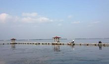 美丽的东湖作文二年级