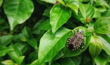 请在春天叫醒我