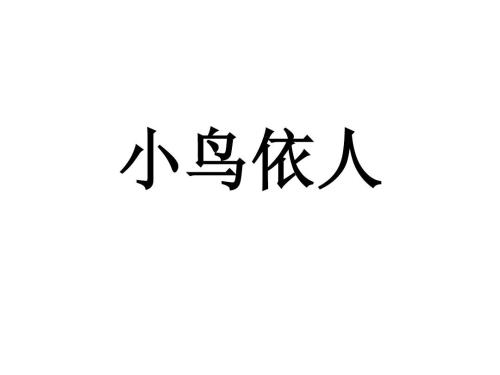 我最喜欢的鸟类之一