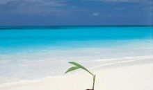 山川草木中的小我大我和无我